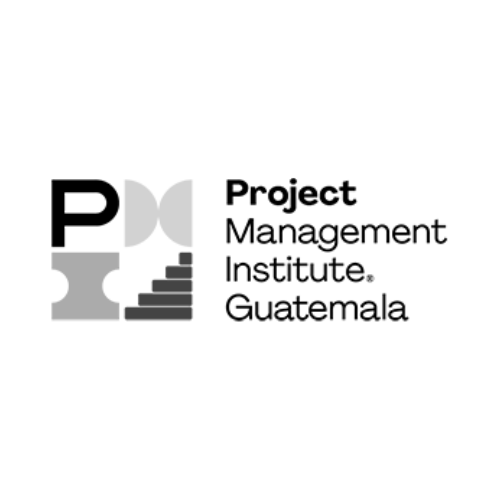 Logo pmi-gt